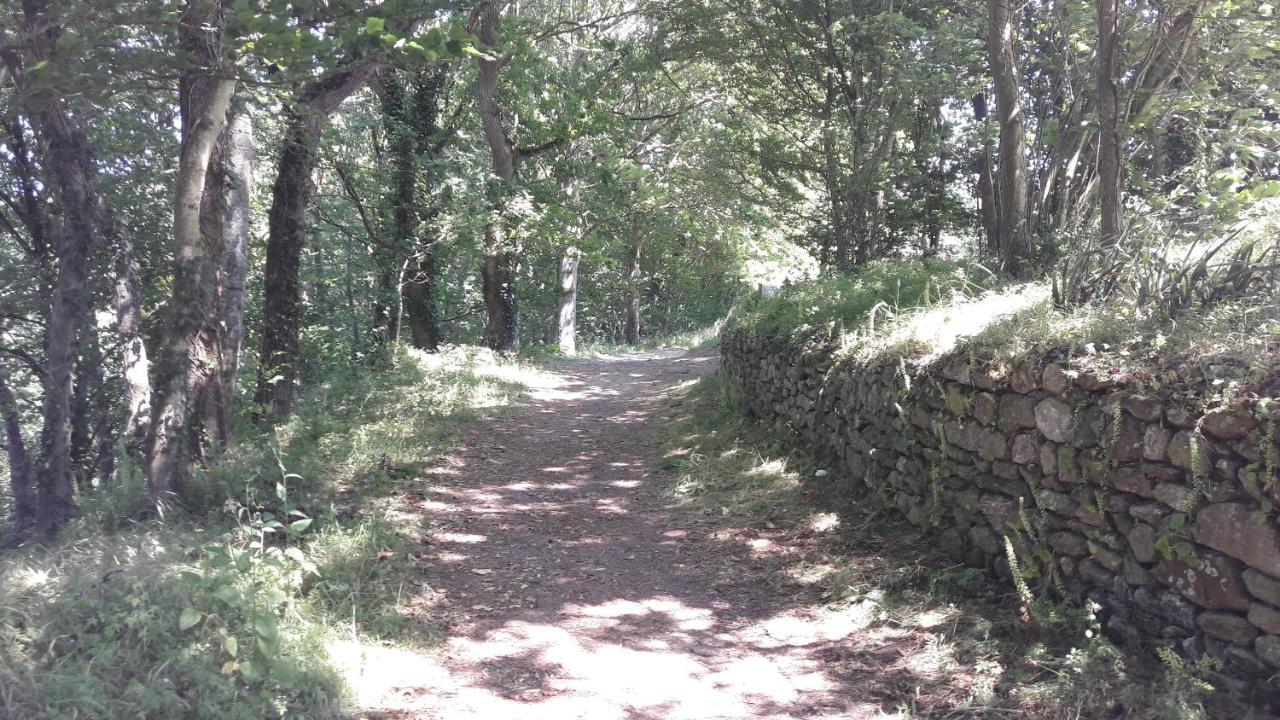 Notre-Dame-du-Guildo Au Guildo, Proche Gr34 빌라 외부 사진